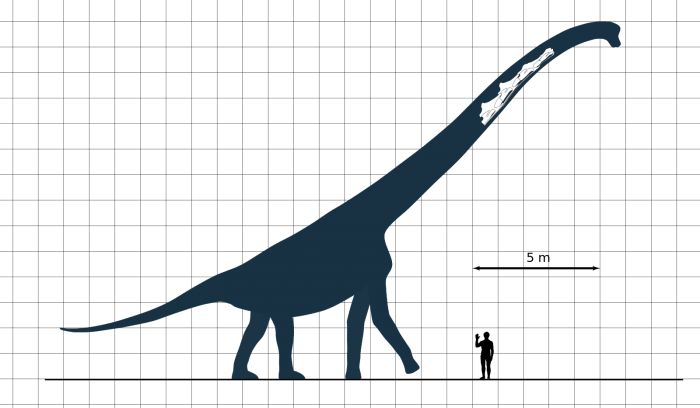 זאורופוסידון