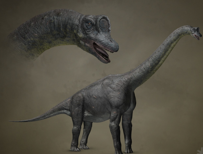 זאורופוסידון