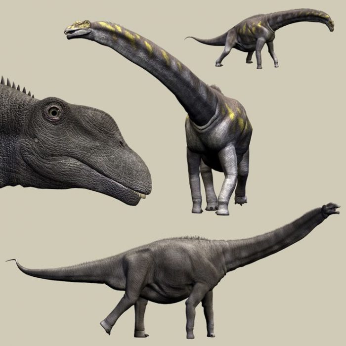 ארגנטינוזאורוס