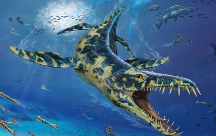 ליופלורודון