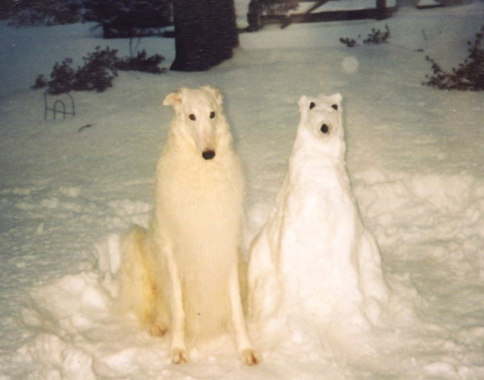 כלב ואיש שלג