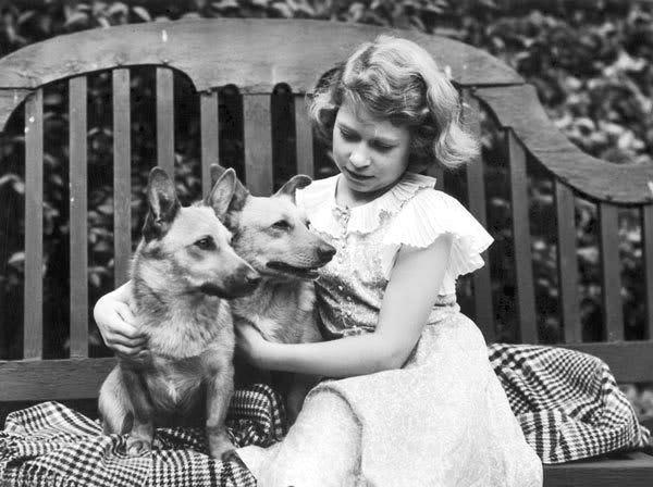 כבישי המלכה אליזבת