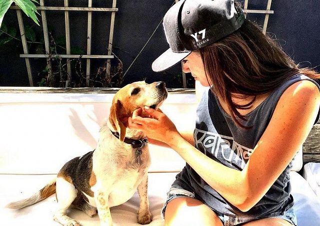 ביגל מייגן מרקל