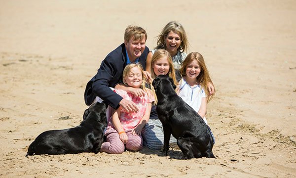 משפחת המלוכה ההולנדית וכלבי הלברדור שלהם
