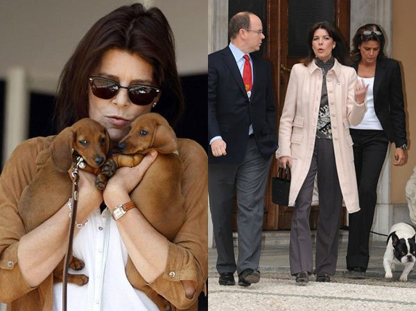 קרולינה והבולדוג