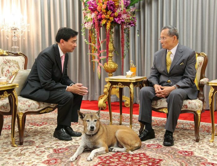 דוג טונגדאנג