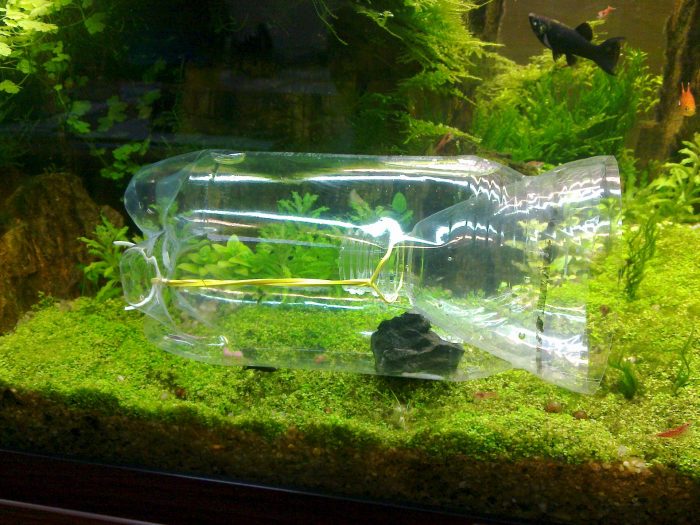 קישוט אקווריום עשוי מבקבוק פלסטיק