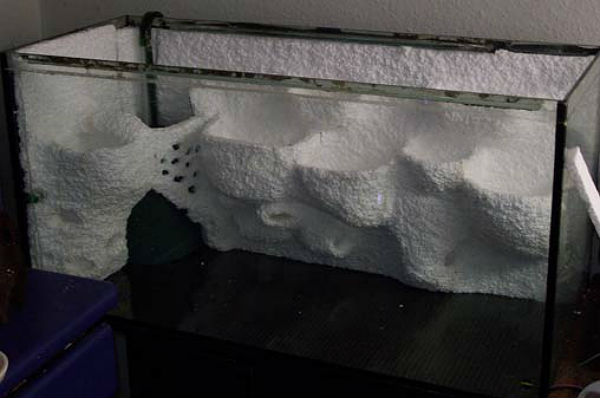 רקע קלקר לאקווריום