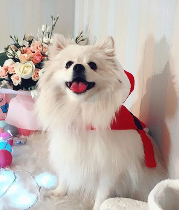 שפיץ לבן בבגדי ראש השנה