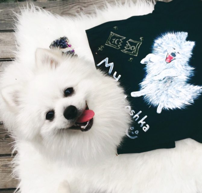 השפיץ הלבן הוציא את לשונו