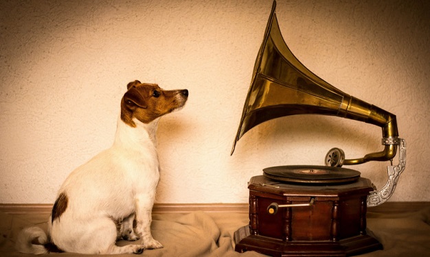 הכלב והגרמופון