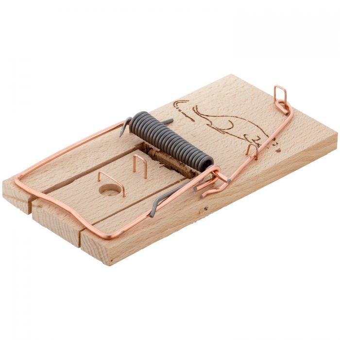 מלכודת חולדות