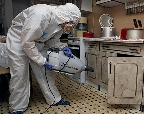 עובד SES מחטא ארון במטבח.