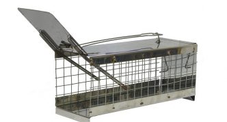 כלוב מלכודת חולדות