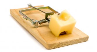 מלכודת עכברים רגילה