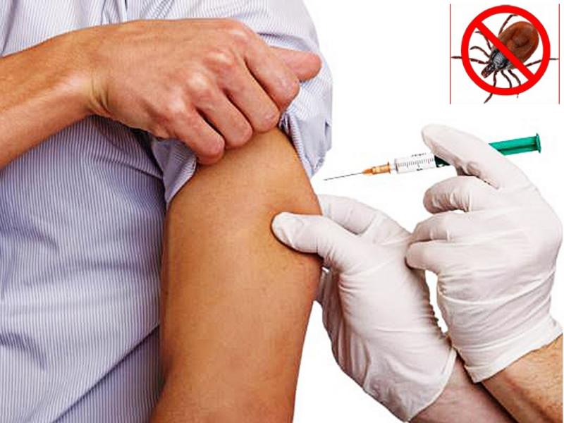 חיסון נגד דלקת המוח הנישאת על ידי קרציות: מאפייני חיסון