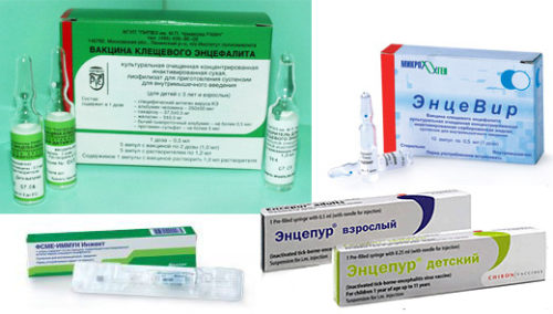 חיסונים נגד דלקת המוח הנישאת על ידי קרציות