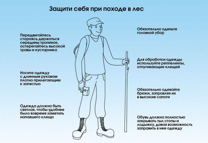 הגנה מפני קרציות ביער