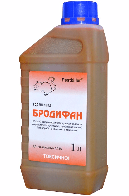 קוטל מכרסמים ברודיפן