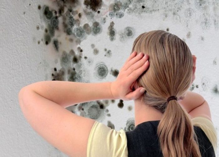 עובש שחור בפינה