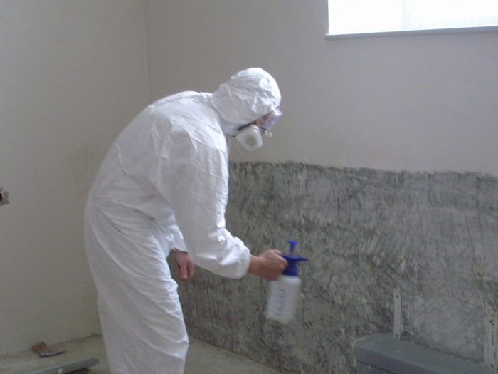 טיפול בקירות נגד עובש