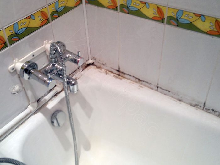 עובש בחדר האמבטיה