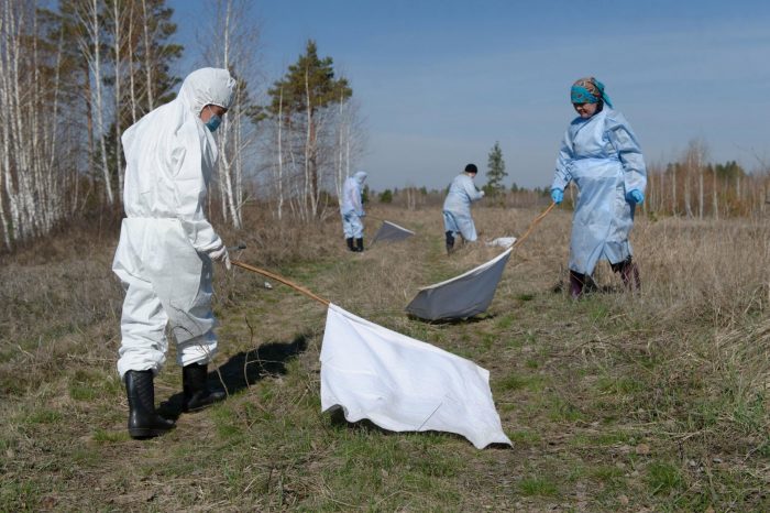אנשים בבגדי מגן בודקים אם יש קרציות באזור.