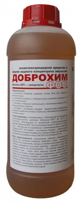 דוברוכים FOS