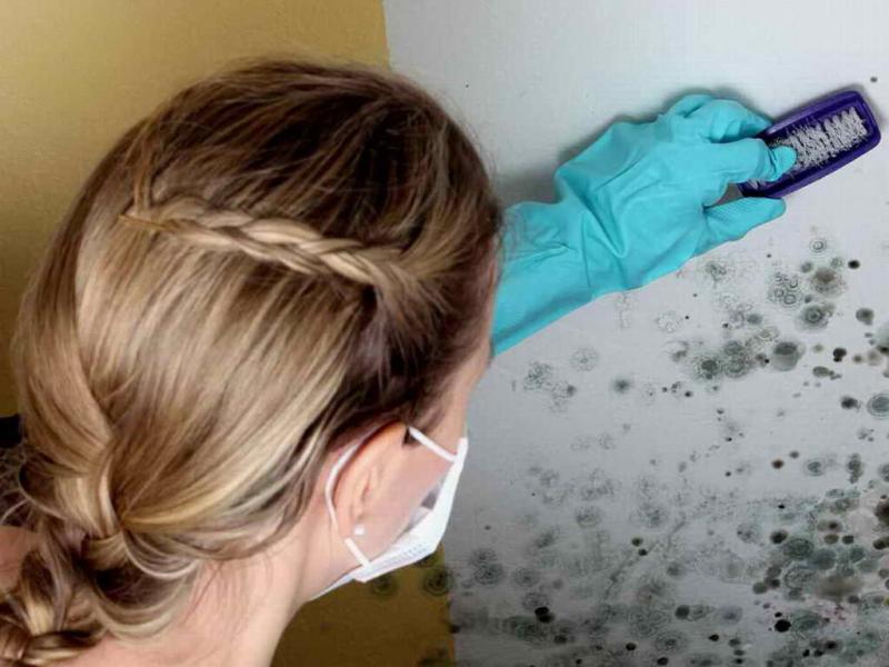 עובש בחדר האמבטיה: מדוע הוא מופיע וכיצד להיפטר ממנו