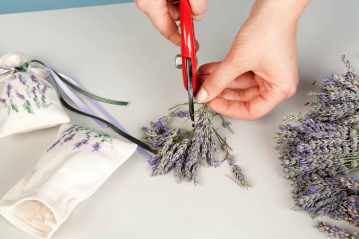 שקיות תוצרת בית נגד עש מזון