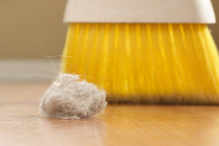 מטאטא צהוב וכדור אבק