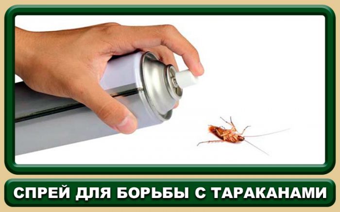 תרסיס נגד ג'וקים