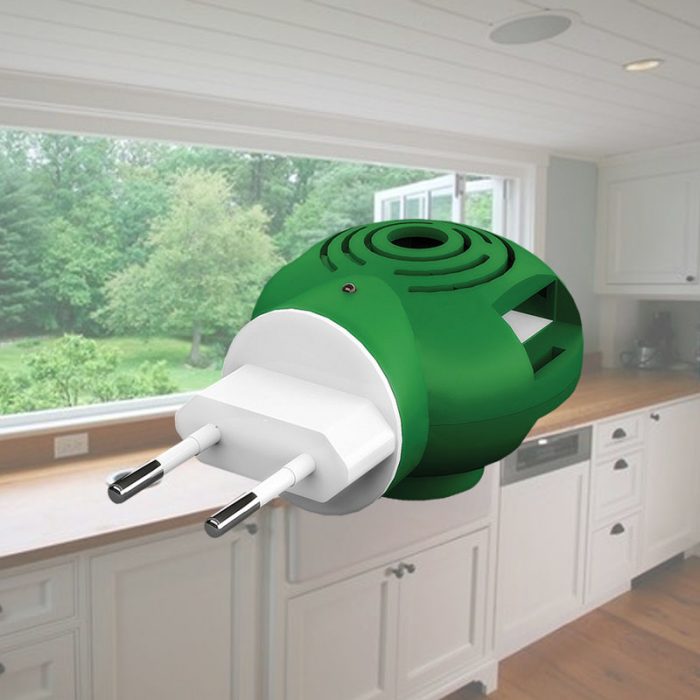 פומיגטור עם צלחות