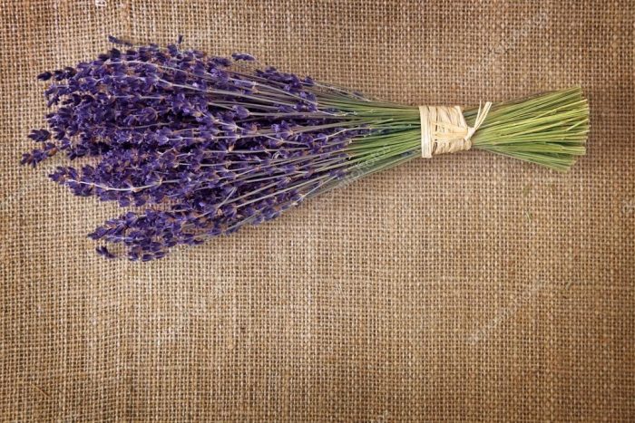 אֲזוֹבִיוֹן