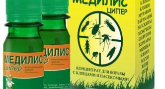 בקבוקים וקופסה של מדיליס-זיפר