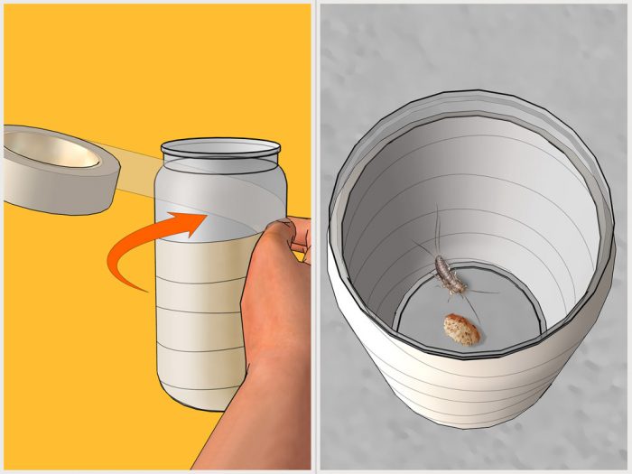 מלכודת דג הכסף