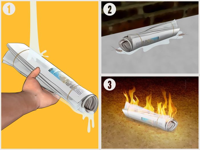 מלכודת עיתונים