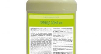 אזור למבדה מרוכז