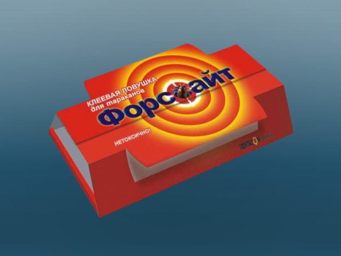 מלכודת דבק ראייה בכוח