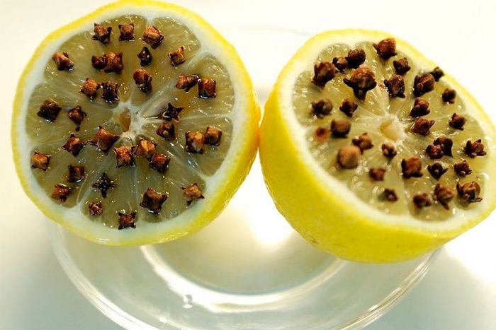 לימון וציפורן נגד יתושים