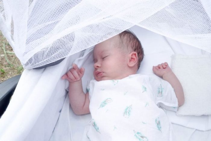 הגנה על ילדים מפני יתושים