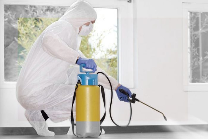 מדביר מרסס חומר כימי בחדר