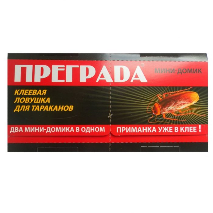 מלכודת דבק "פרגרדה"