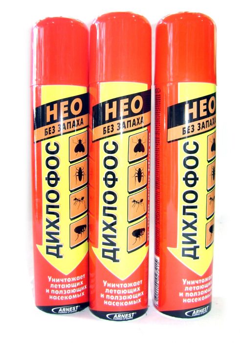 דיכלורבוס ניאו