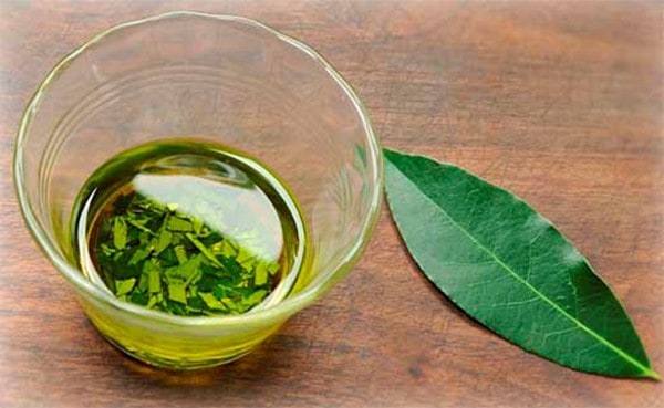 תמיסת עלי דפנה