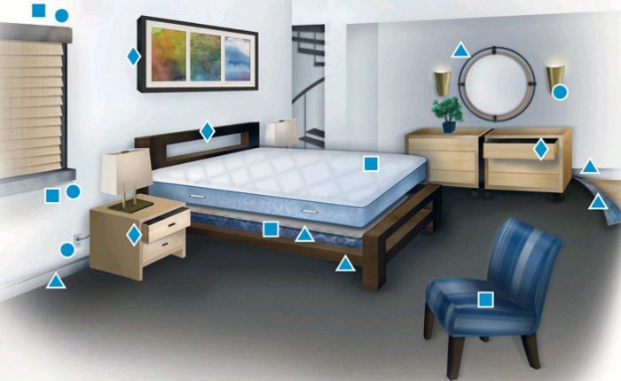 חדר עם תמונות של בתי גידול אפשריים לפשפשים