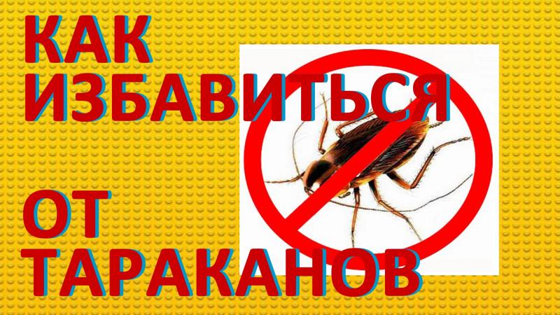 Cómo elegir el producto adecuado para el control de cucarachas