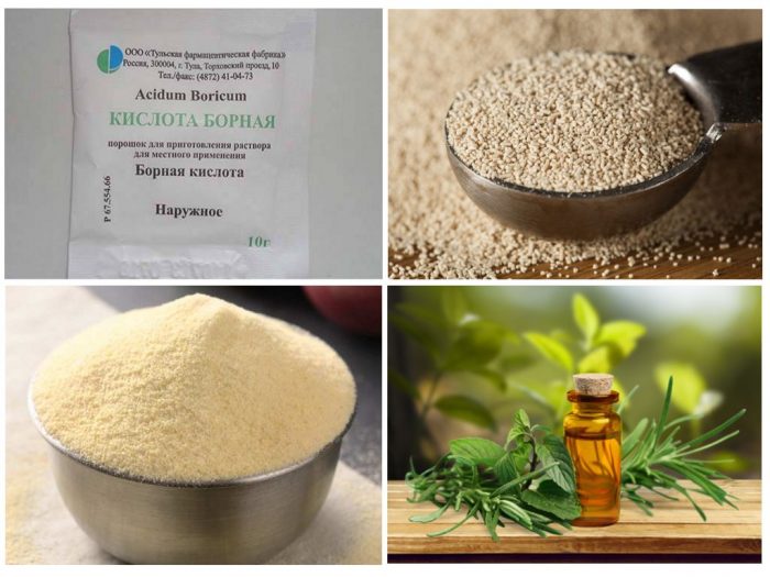 תרופות עממיות נגד נמלים