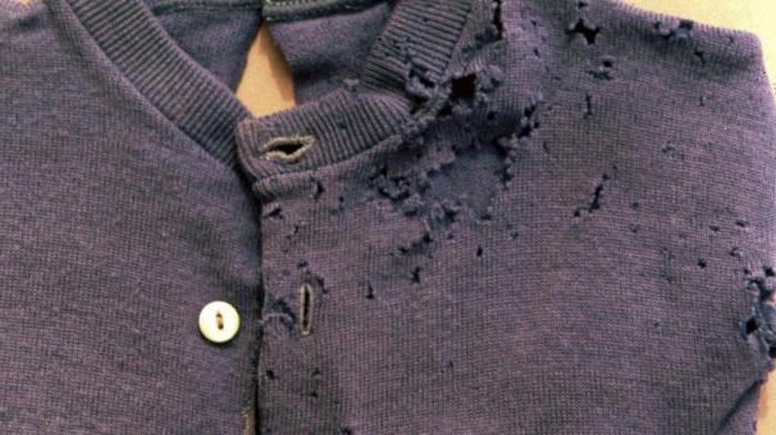 בגדים שניזוקו על ידי חיפושיות עור