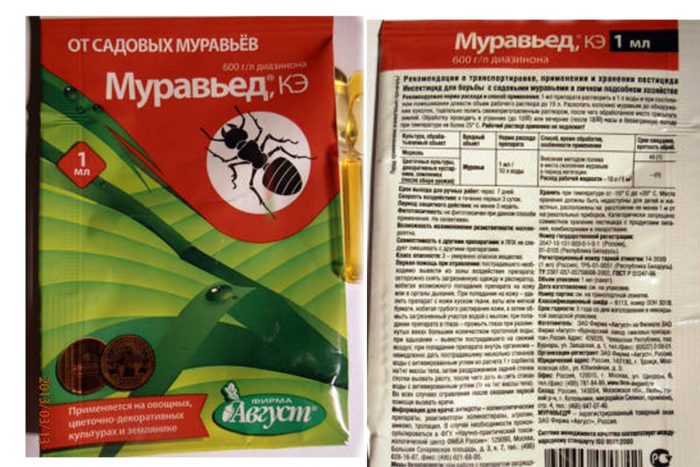 אוֹכֵל נֶמַלִים